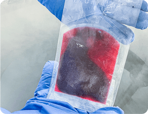 CryoLoc™ Cardiovascular cryopreservation bag, tissue freezing bag