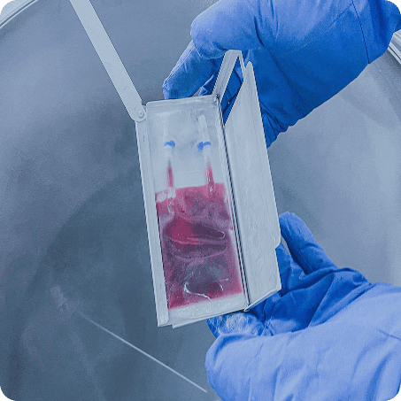 CryoLoc™ Freezing Bags