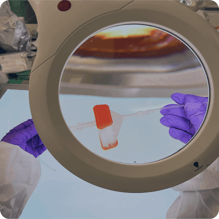 cell therapy Inline Filters